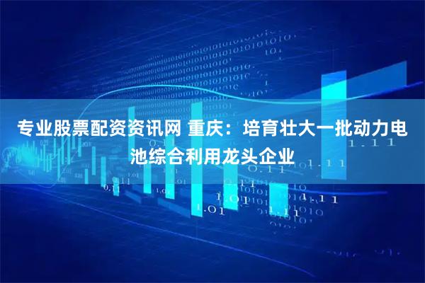 专业股票配资资讯网 重庆：培育壮大一批动力电池综合利用龙头企业
