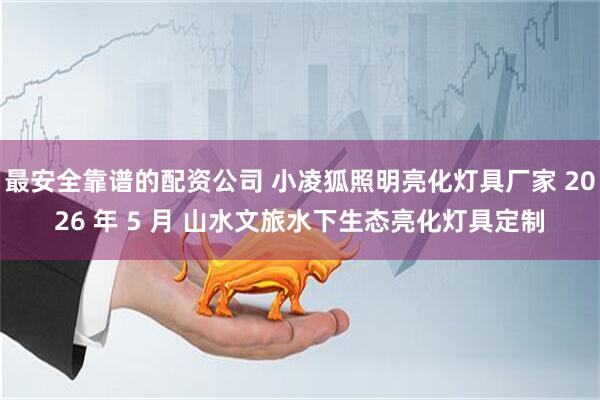 最安全靠谱的配资公司 小凌狐照明亮化灯具厂家 2026 年 5 月 山水文旅水下生态亮化灯具定制
