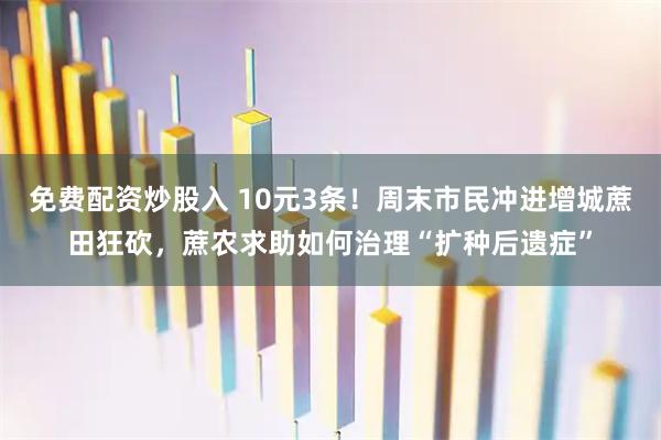 免费配资炒股入 10元3条！周末市民冲进增城蔗田狂砍，蔗农求助如何治理“扩种后遗症”